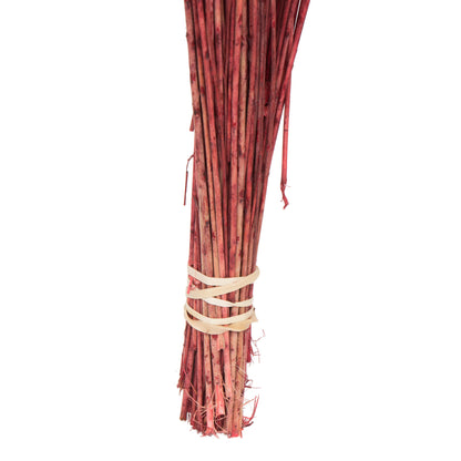 Vickerman Natural Botanicals 20-22" Red Dried Flax Linum 4 oz. Bunch.