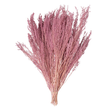 Vickerman 14-18" Coral Stoebe Bundle.  Comes 3.5 oz per bundle.