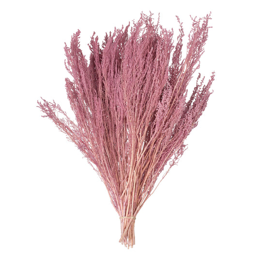 Vickerman 14-18" Coral Stoebe Bundle.  Comes 3.5 oz per bundle.