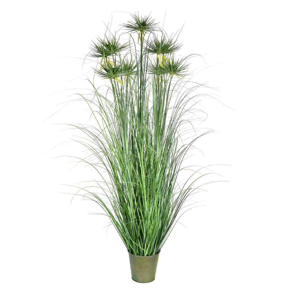 Vickerman 60" Artificial Potted Green Grass and Cyperus Heads.