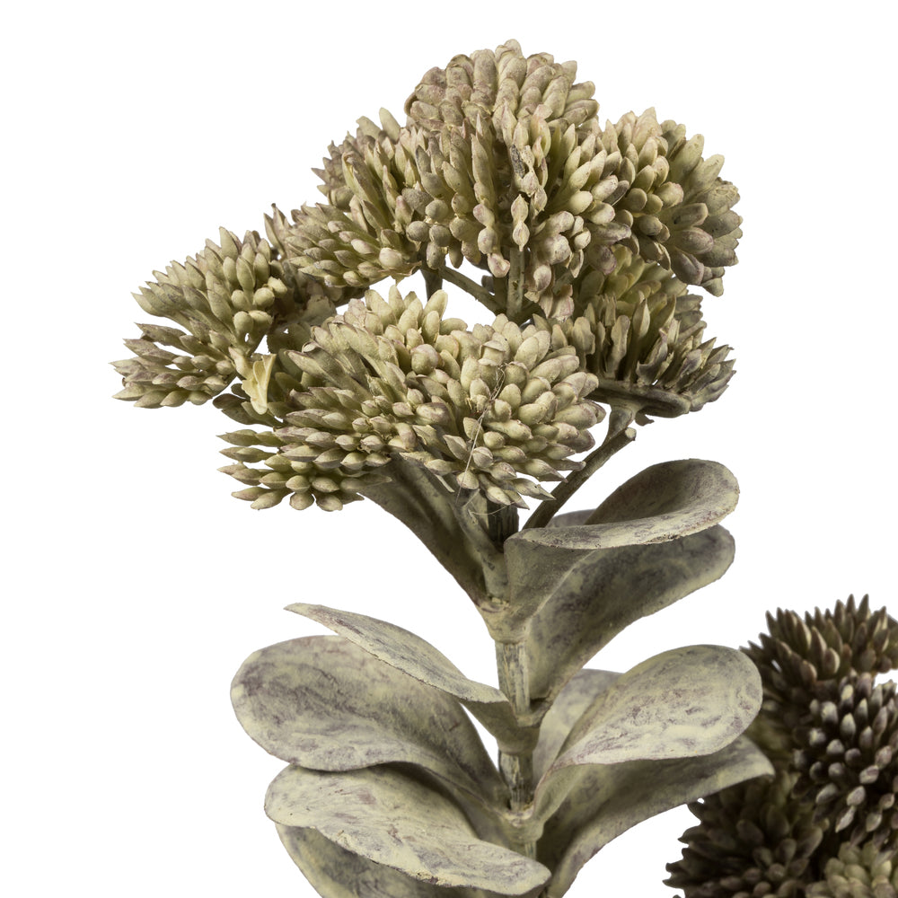 Vickerman 22" Artificial Dark Green Sedum Spray. Includes 2 sprays per pack.