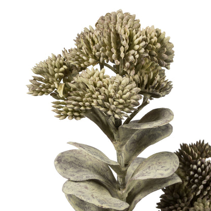 Vickerman 22" Artificial Dark Green Sedum Spray. Includes 2 sprays per pack.