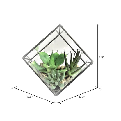 Vickerman 5.5" Artificial Green Succulents Diamond Terrarium.