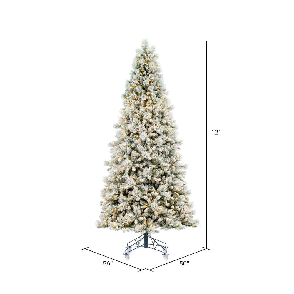 Vickerman 10' x 56" Flocked Jackson Pine Artificial Pre-Lit Christmas Tree Warm White Lights.