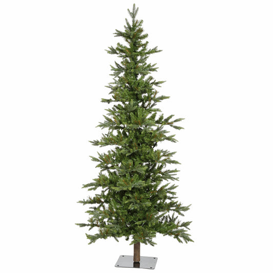 Vickerman 8' Shawnee Fir Artificial Christmas Tree Unlit