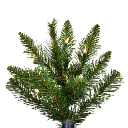 Vickerman 6.5' x 49" Bennington Spruce Artificial Christmas Tree Clear Dura-lit Lights