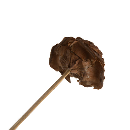 Vickerman Natural Botanicals 1.3"-1.75" Cedar Rose Natural on Stem. Includes 50 pieces per polybag.