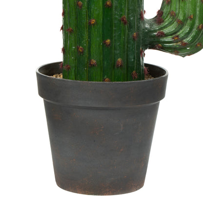 Vickerman 49" Artificial Cactus In Black Pot.