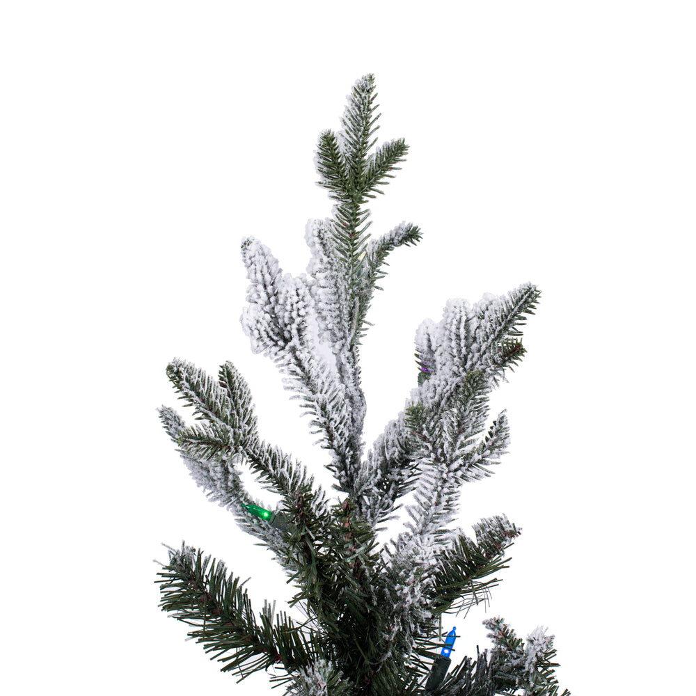 Vickerman 5.5' x 38" Flocked Kamas Fraser Artificial Christmas Tree Multi-color Dura-Lit® LED Mini Lights