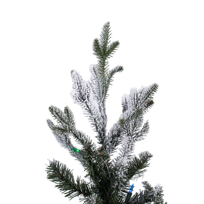 Vickerman 5.5' x 38" Flocked Kamas Fraser Artificial Christmas Tree Multi-color Dura-Lit® LED Mini Lights