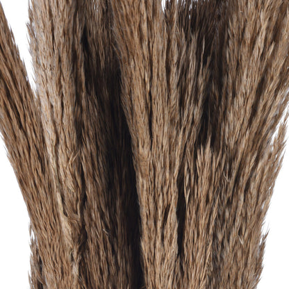 Vickerman Natural Botanicals 39 - 47" Natural Dried Pampas 24 per bag.