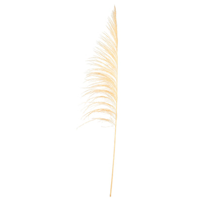 Vickerman 60-72" Bleached Uva Palm Spray standing between 60 to 72 inches tall. Pack of 10.