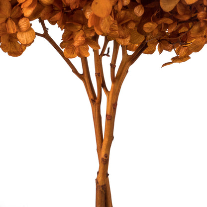 Vickerman 15" Autumn Hydrangea with Multiple Branch Segments. Preserved