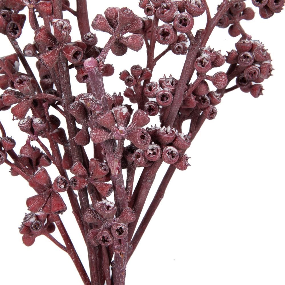 Vickerman Natural Botanicals 13" x 1-3" Red Gum Branch Red Frosted 14 stems per unit