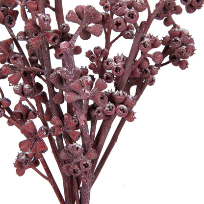 Vickerman Natural Botanicals 13" x 1-3" Red Gum Branch Red Frosted 14 stems per unit