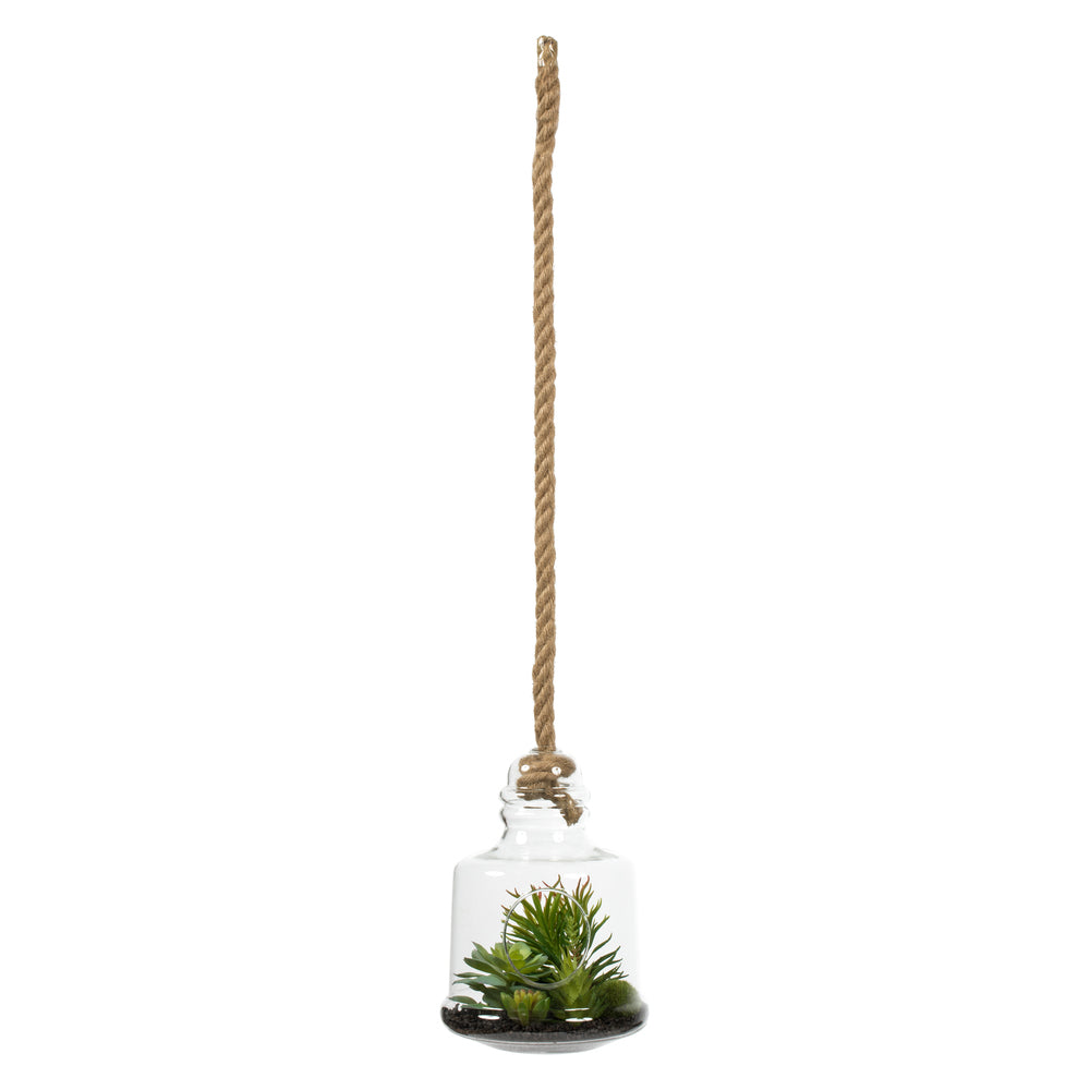 Vickerman 10" Artificial Green Assorted Succulents in Glass Jar.