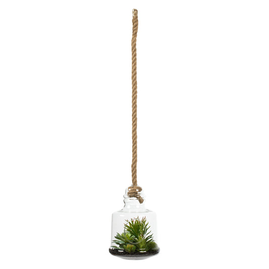 Vickerman 10" Artificial Green Assorted Succulents in Glass Jar.