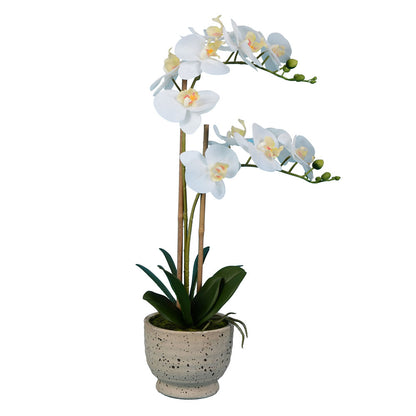 Vickerman 24.5" Artificial White Phalaenopsis In Cement Pot.