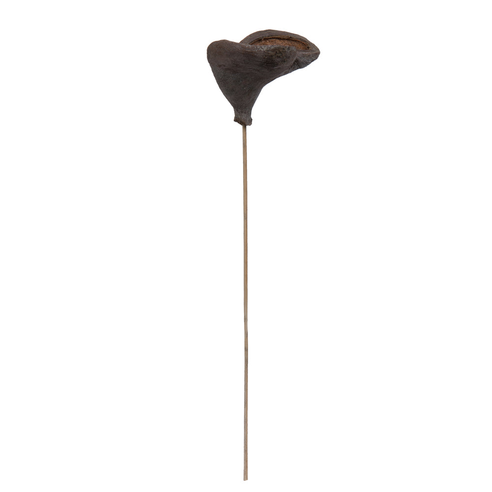 Vickerman Natural Botanicals 20" Stem Badam. Includes 25 Stems per Pack