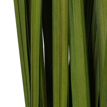 Vickerman 36-40" Foliage Green Sable Grass 7 oz Bundle Dried