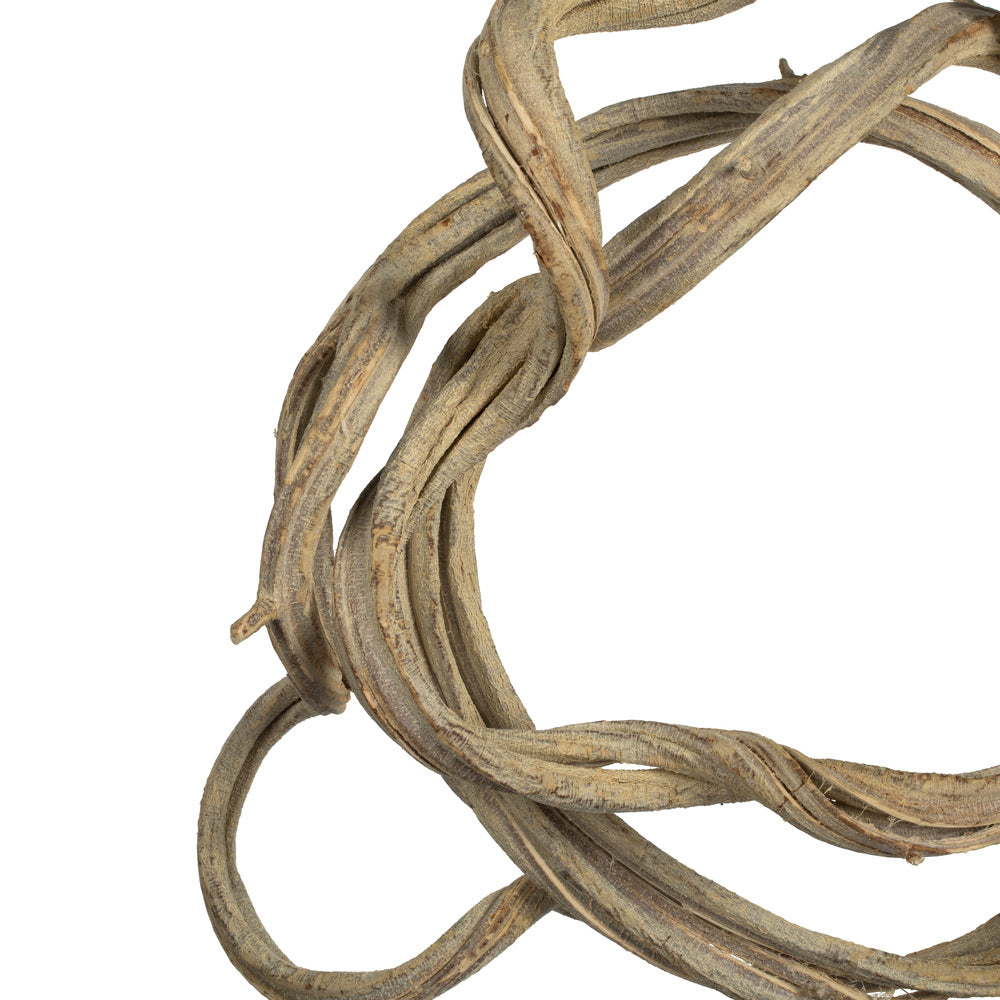 Vickerman 13" Bleached Coiled Vine Dried
