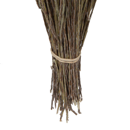 Vickerman Natural Botanicals 14" x 5" Everlasting Shiny White (hammer) 60 grams per unit
