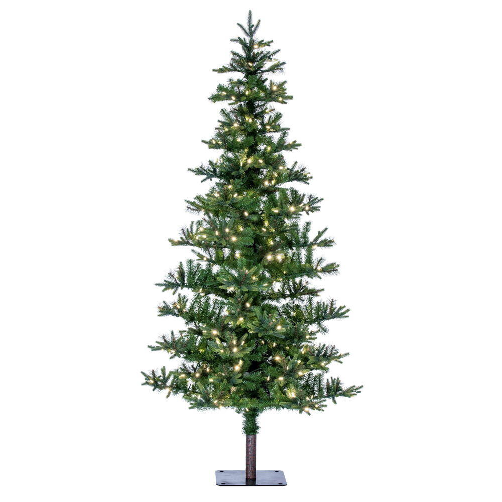 Vickerman 6' Shawnee Fir Artificial Christmas Tree Warm White LED Dura-lit Lights