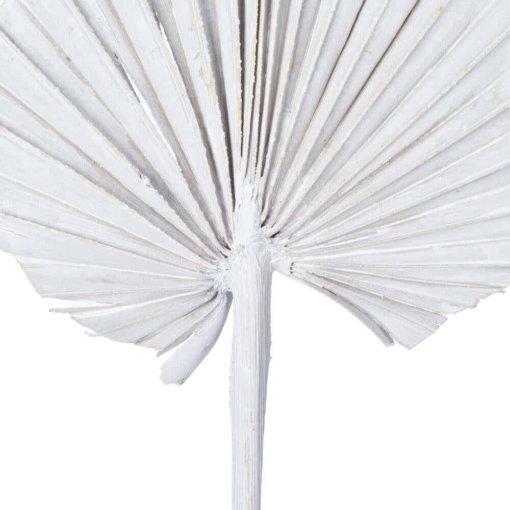 Vickerman Natural Botanicals 15.75 - 19.5" White wash Dried Palm Spear 12 per bag.