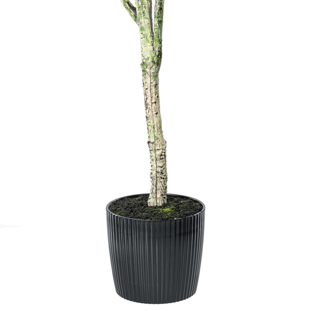 Vickerman 72" Artificial Green Olive Tree in Black Planters Pot.