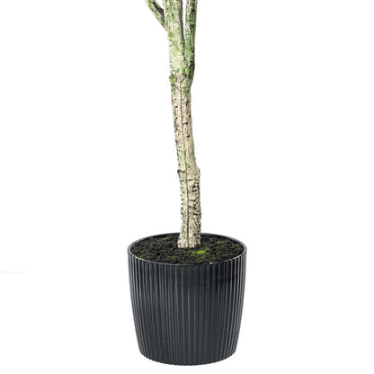 Vickerman 72" Artificial Green Olive Tree in Black Planters Pot.