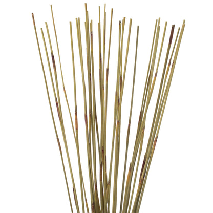 Vickerman 40" Natural Elephant Reed 10 oz Bundle Dried