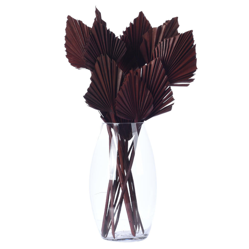 Vickerman Natural Botanicals 15.75 - 19.5" Chocolate Dried Palm Spear 12 per bag.