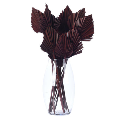 Vickerman Natural Botanicals 15.75 - 19.5" Chocolate Dried Palm Spear 12 per bag.