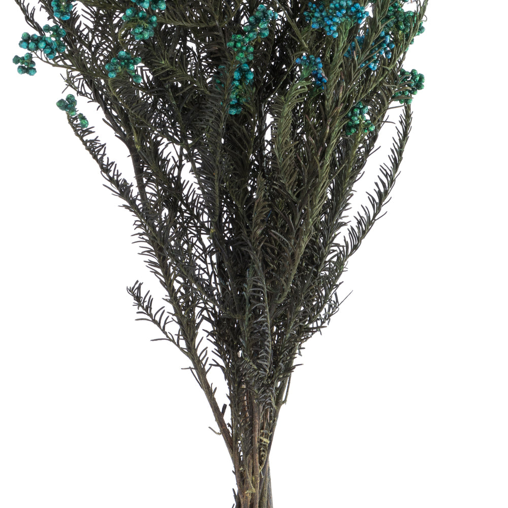 Vickerman 16" Blue Rice Flower. Comes in a 4.25 oz Bundle. Preserved