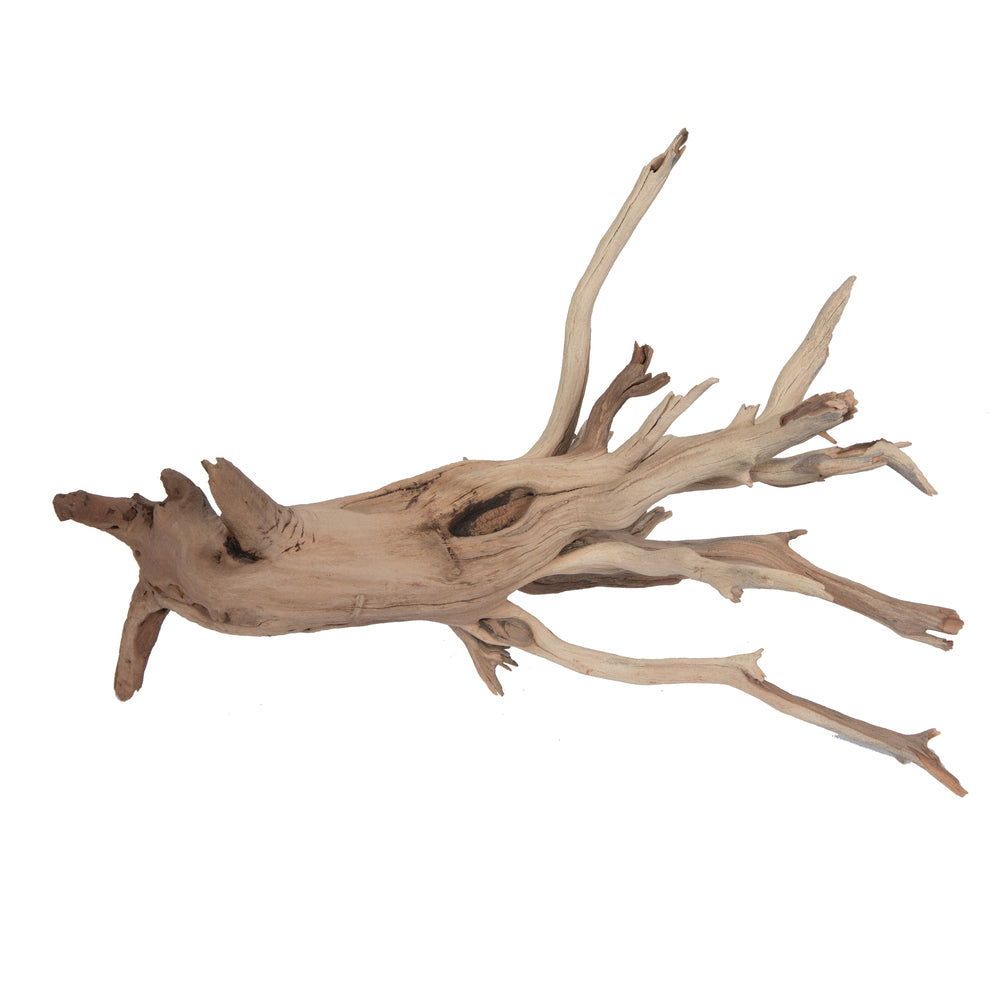 Vickerman 12" Starwood Manzanita Tree Branch