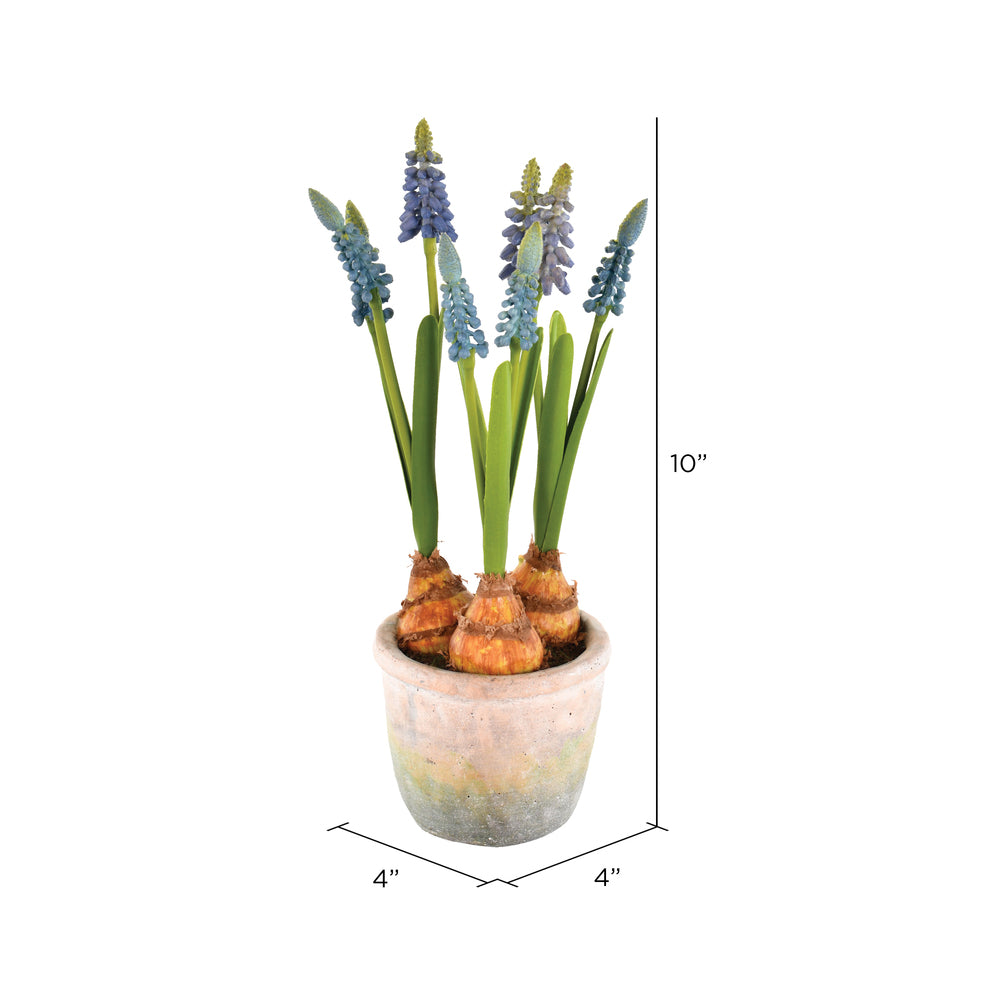Vickerman 10" Artificial Blue Hyacinths in Container Pack of 2