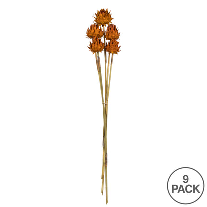 Vickerman 15" Aspen Gold Artichoke Head attached to a Reed Stem Dried