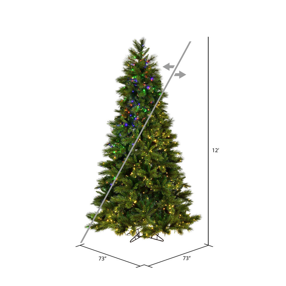 Vickerman 12' x 73" Brighton Pine Artificial Christmas Tree LED Color Changing Lights