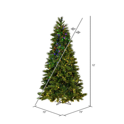 Vickerman 12' x 73" Brighton Pine Artificial Christmas Tree LED Color Changing Lights