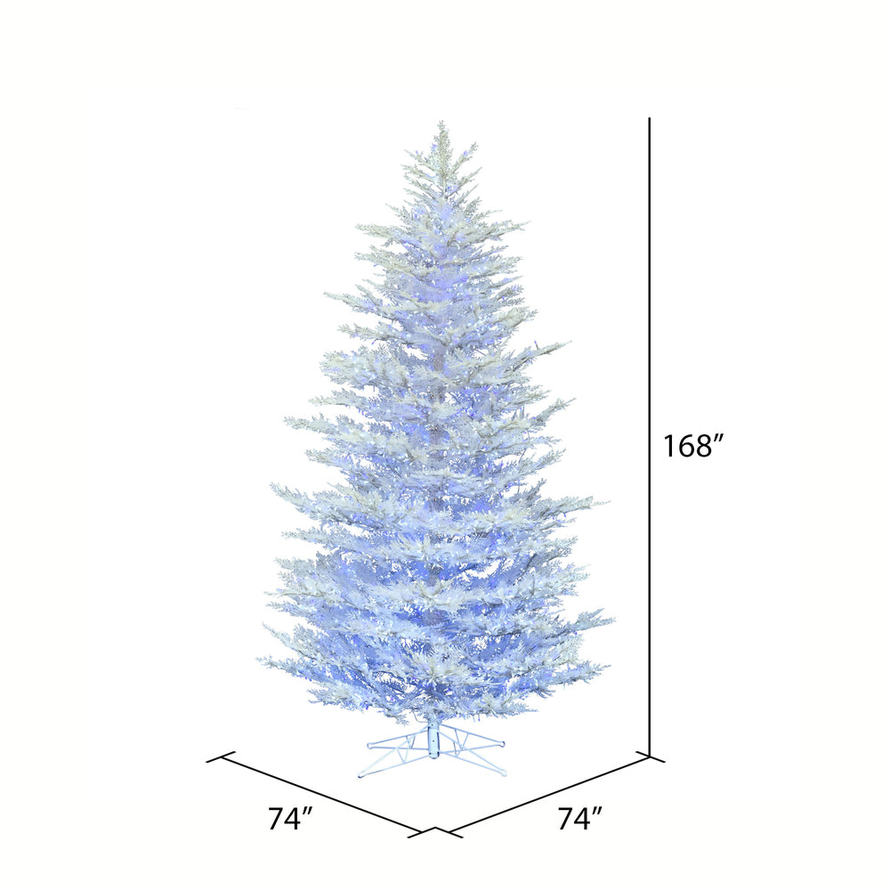 Vickerman 14' x 74" Flocked Cedar Pine Artificial Christmas Tree Low Voltage LED Pure White and Blue Wide Angle 3mm Twinkle Lights