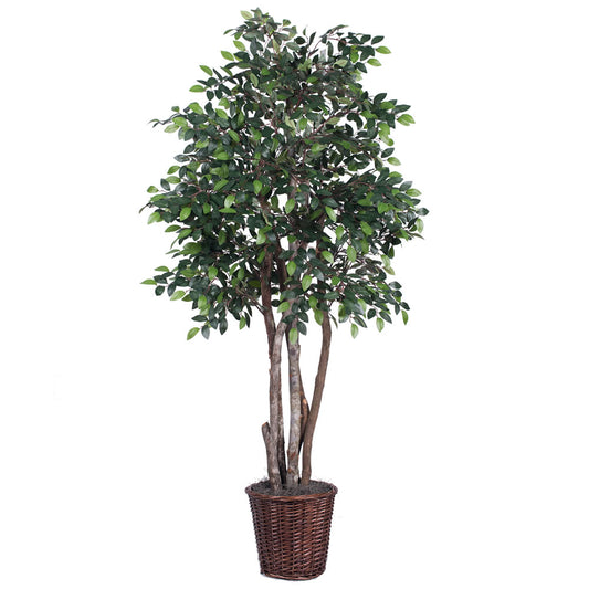 Vickerman 6' Artificial Mini Ficus Executive Rattan Basket