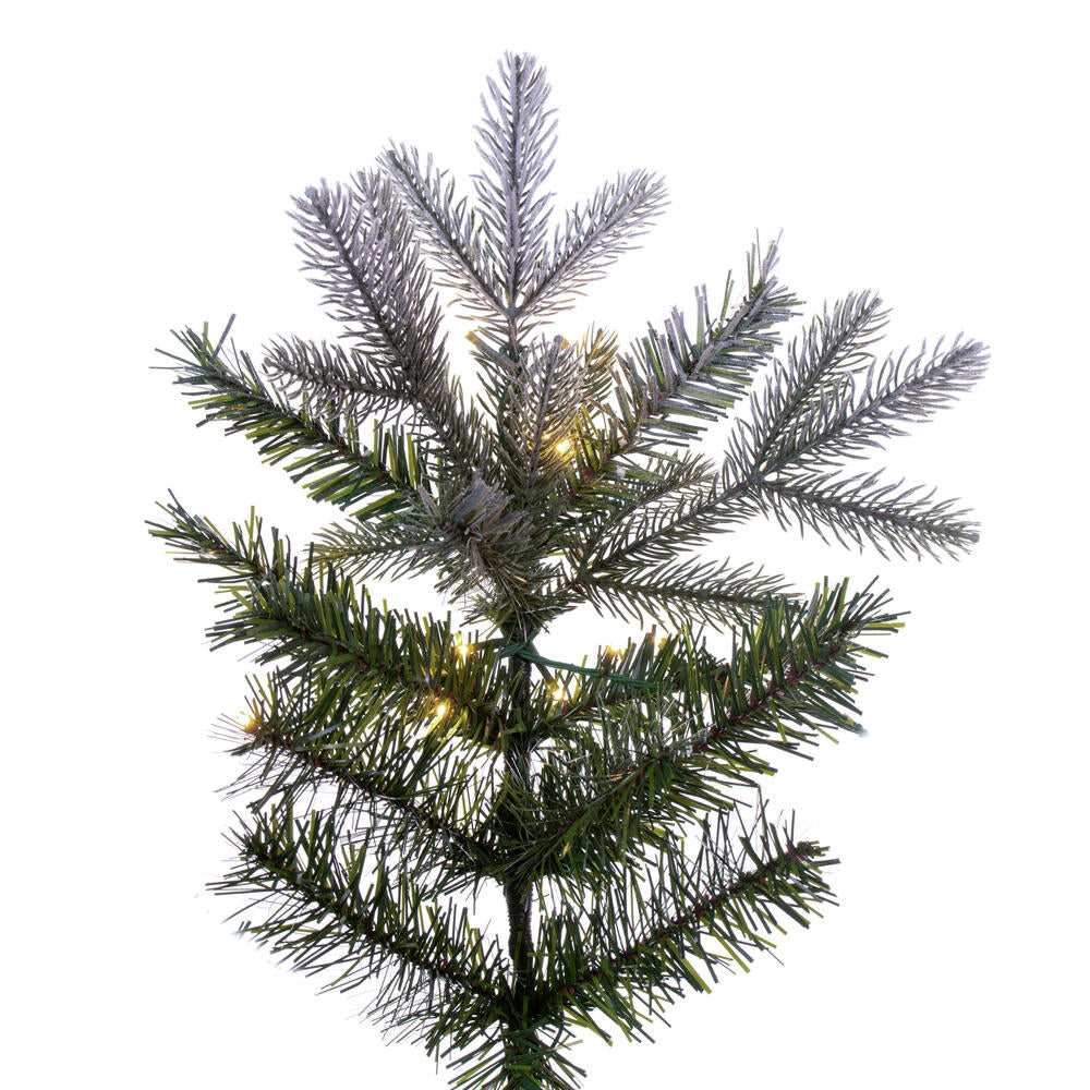 Vickerman 6.5' x 40" Frosted Douglas Fir Artificial Pre-Lit Christmas Tree Warm White 3mm LED Lights.