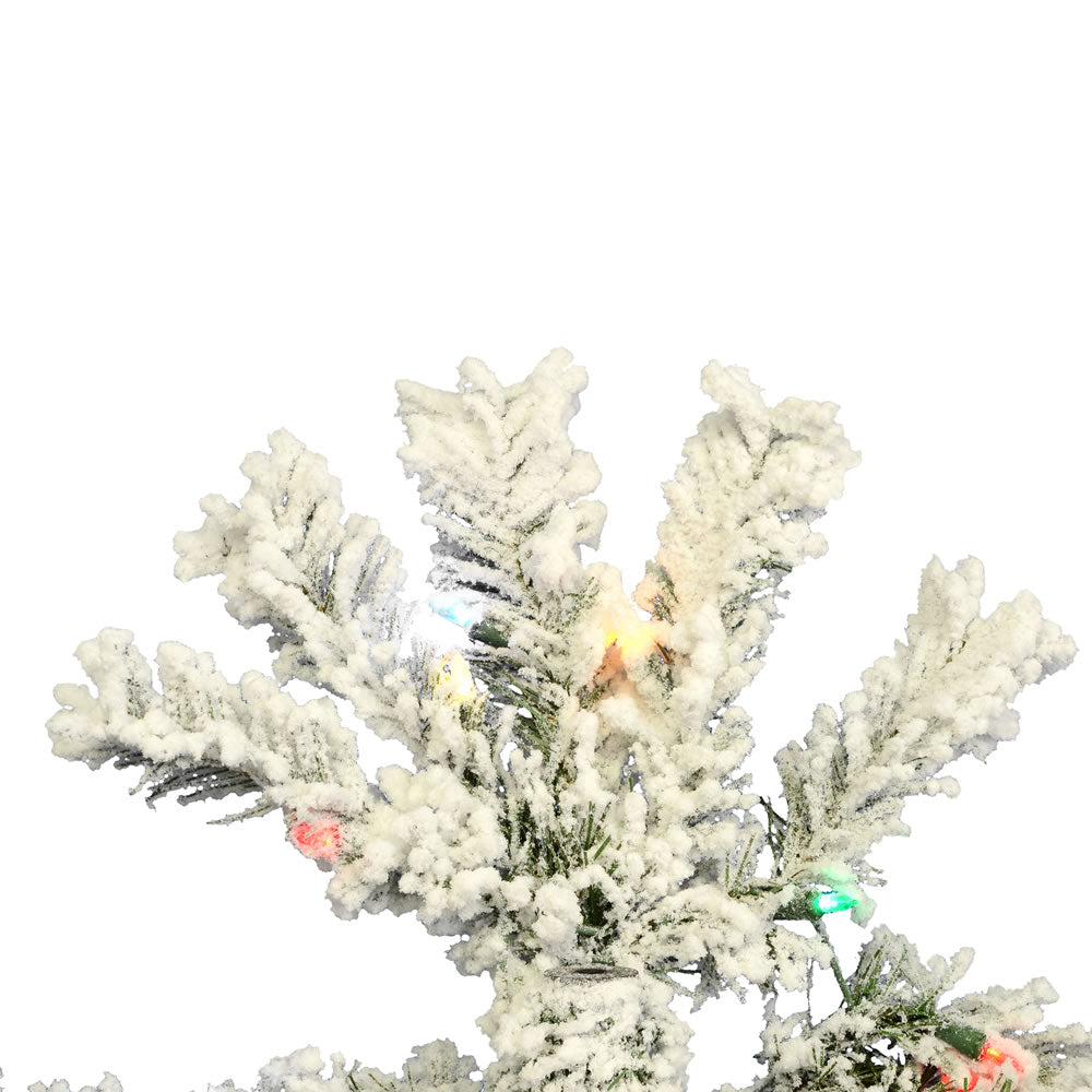 Vickerman 7.5' Flocked Pacific Artificial Christmas Tree Multi-Colored LED Lights