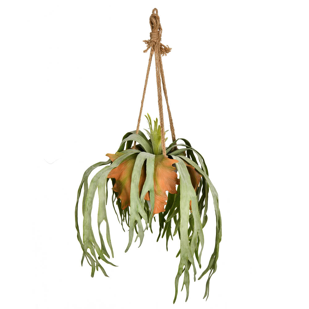 Vickerman 22" Artificial Staghorn Fern Hanging Ceramic Pot