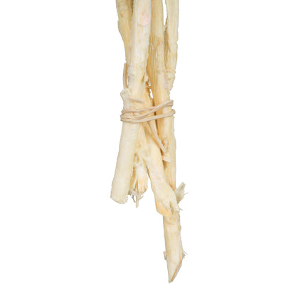 Vickerman 8-12" Bleached Rosette Compacta - Sleeved 5 stems Dried