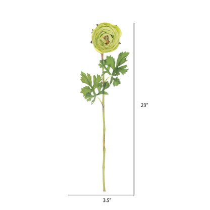 Vickerman 23" Artificial Green Ranunculus Stem Set of 4