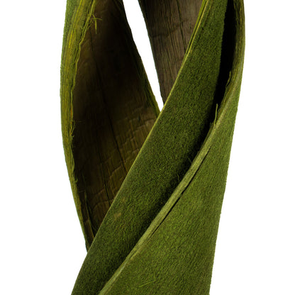 Vickerman 45 - 48" Basil Coco Velvet - Curled 3 stems Dried