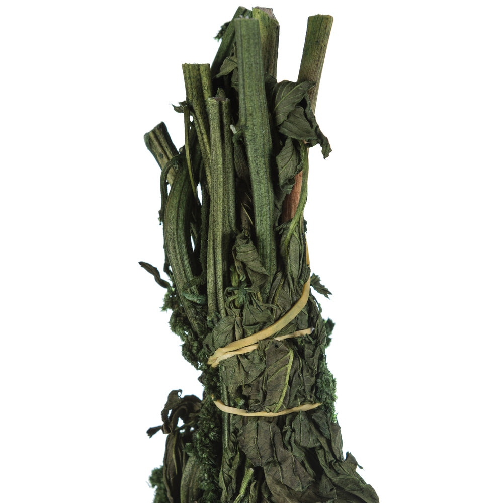 Vickerman 30" Green Amaranthus Bundle Preserved