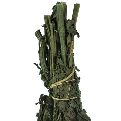 Vickerman 30" Green Amaranthus Bundle Preserved
