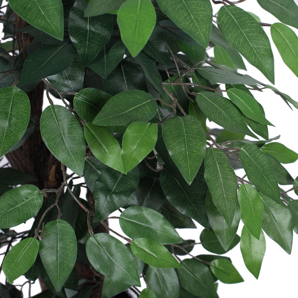 Vickerman 4' Artificial Ficus Extra Full Bush Black Plastic Pot.